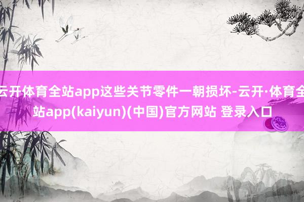 云开体育全站app这些关节零件一朝损坏-云开·体育全站app(kaiyun)(中国)官方网站 登录入口