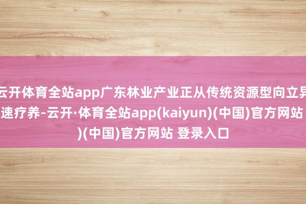 云开体育全站app广东林业产业正从传统资源型向立异动手型加速疗养-云开·体育全站app(kaiyun)(中国)官方网站 登录入口