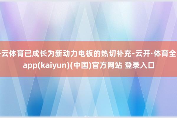 开云体育已成长为新动力电板的热切补充-云开·体育全站app(kaiyun)(中国)官方网站 登录入口