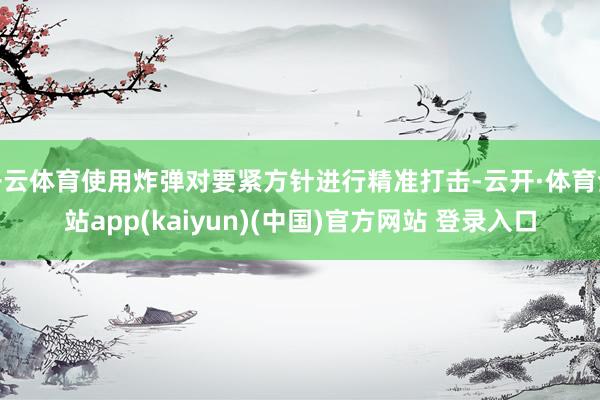 开云体育使用炸弹对要紧方针进行精准打击-云开·体育全站app(kaiyun)(中国)官方网站 登录入口